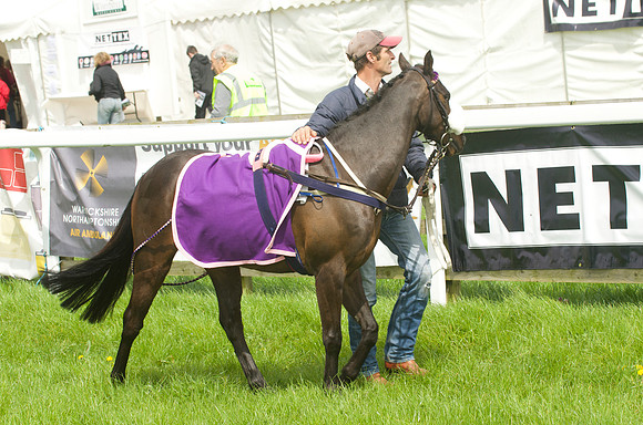 Pony Race - 1   1