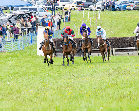 Race 2 - Veteran Horse (35 of 80)