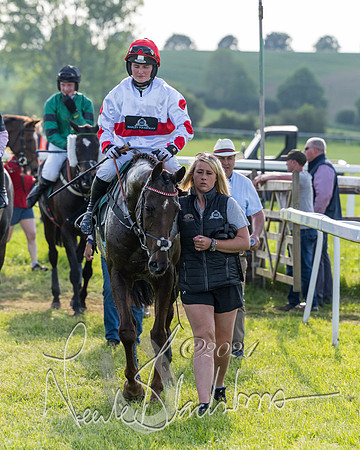 Race 7 - Veteran Horse (182 of 246)
