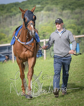 Race 6 - Thorn Plant Hire Maiden Race (6 of 129)