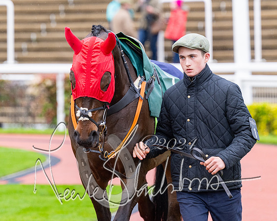 Race 5 - Mares Open  (9 of 129)