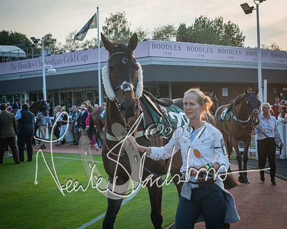 Race 6 - The Brooklands watches Golden Miller chronograph open hunter’s steeplechase 4m 97y (51 of 396)