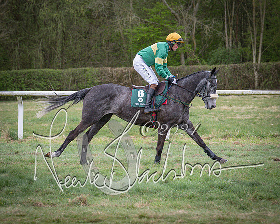 Race 7 - The Jockey Club maiden race for Mares and Fillies only (9 of 96)