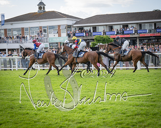 Race 2 - Olly Murphy Racing Stratford Ladies Open (82 of 111)