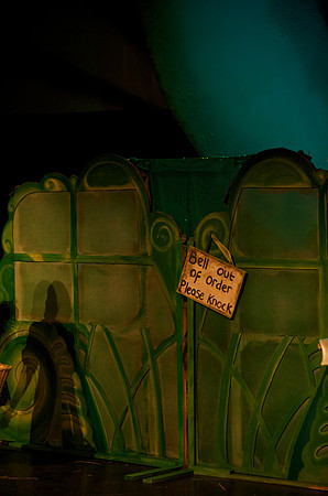 The Wizard of OZ -  219