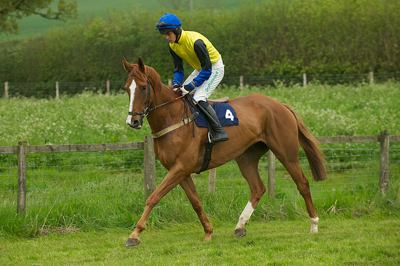 Race 6 - Maiden 3