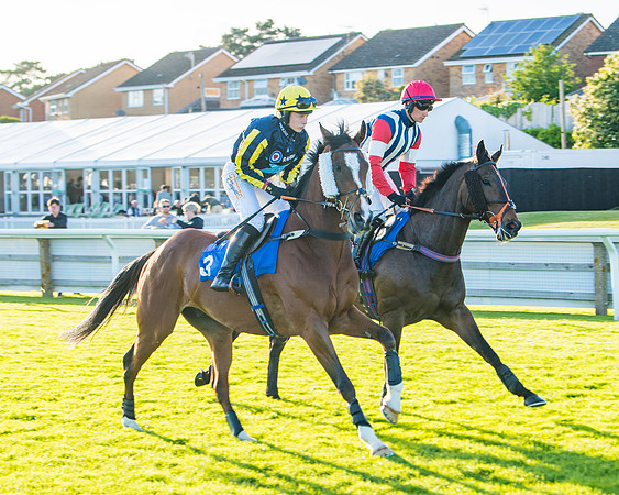 Race 5 - White Swan Hotel Handicap (3 of 80)
