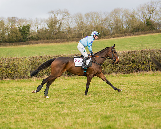 Race 2 - Open Maiden (41 of 128)
