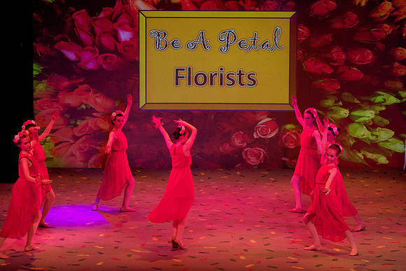 Rose Petals 4