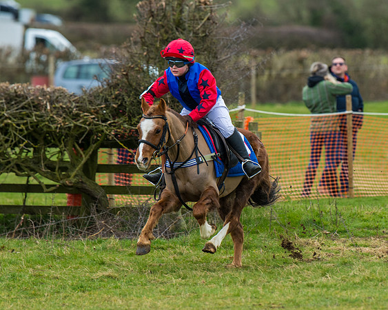 Pony Race 1 (49 of 101)