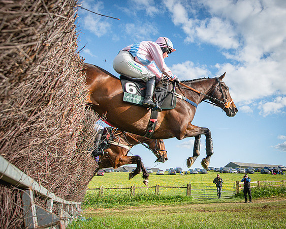 Race 7 - Walnut Hill PPORA club members maiden (10 of 104)