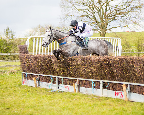Race 5 - Restricted  (75 of 118)