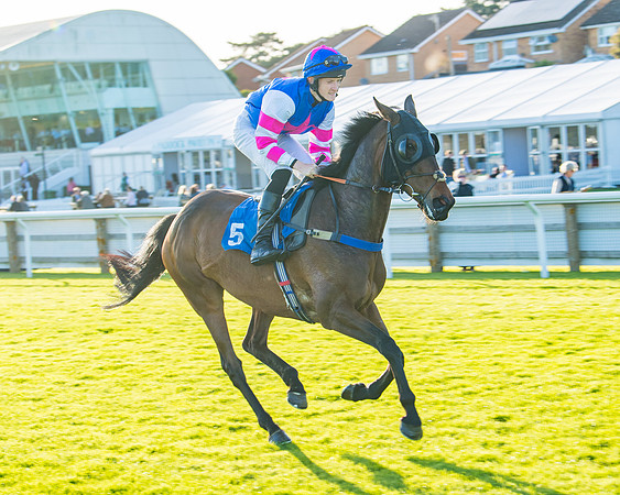 Race 5 - White Swan Hotel Handicap (11 of 80)
