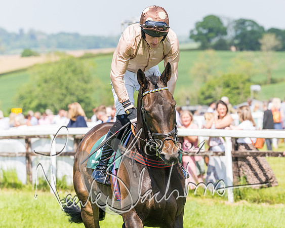 Race 2 - The Maiden  (31 of 442)
