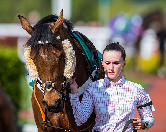Race 1 - The open Hunter chase  (28 of 95)