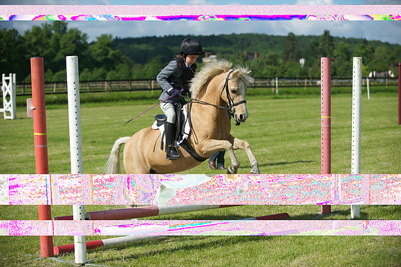 SOHS PC Summer Show at BCA 17th June 2012