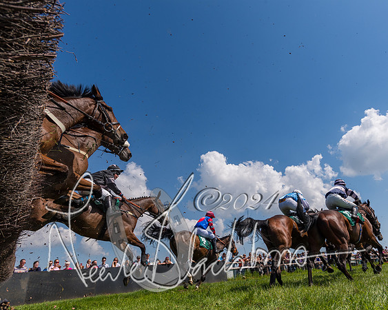 Race 2 - The Maiden  (259 of 442)