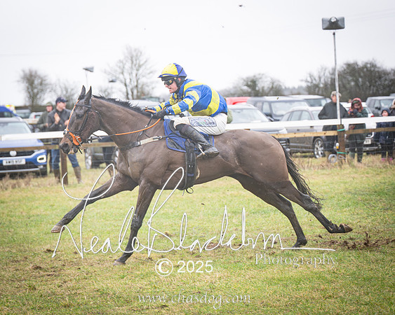 Race 2 - Restricted (34 of 70)-Enhanced-NR