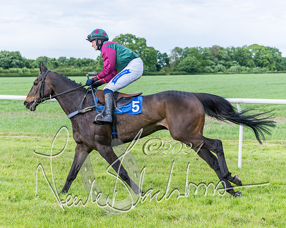 Race 5 - Restricted Race (121 of 434)
