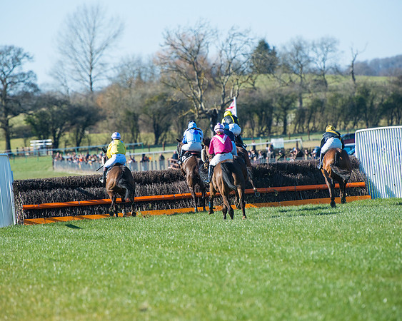 Race 4 - Ladies Open  (44 of 200)