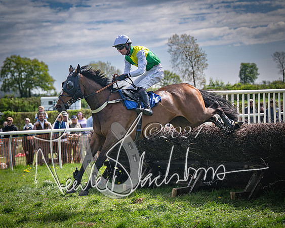 Race 2 - The Elliott of London maiden race (101 of 137)