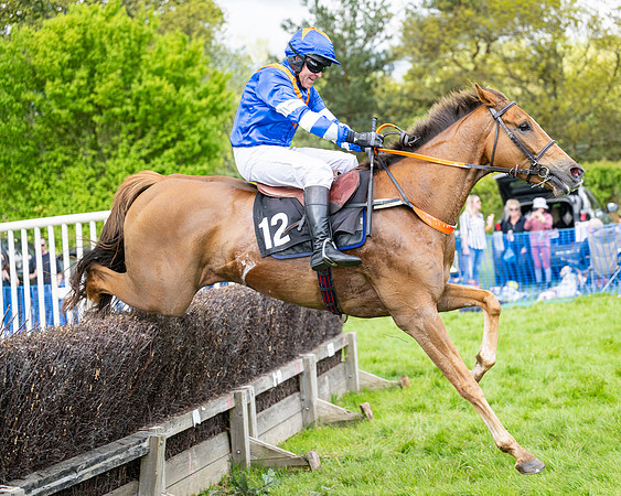 Race 5  - Maiden  (80 of 84)