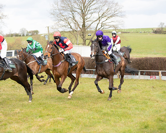 Race 2 - Young Horse Maiden (54 of 104)