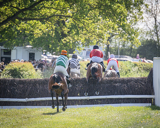 Race 5 - F N Pile and Sons PPORA Novice Riders (64 of 151)
