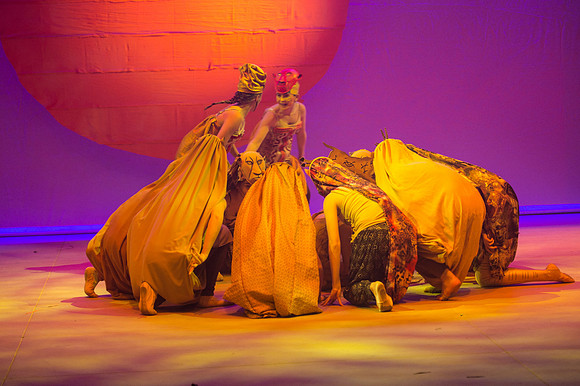 Lion King (90 of 484).jpg