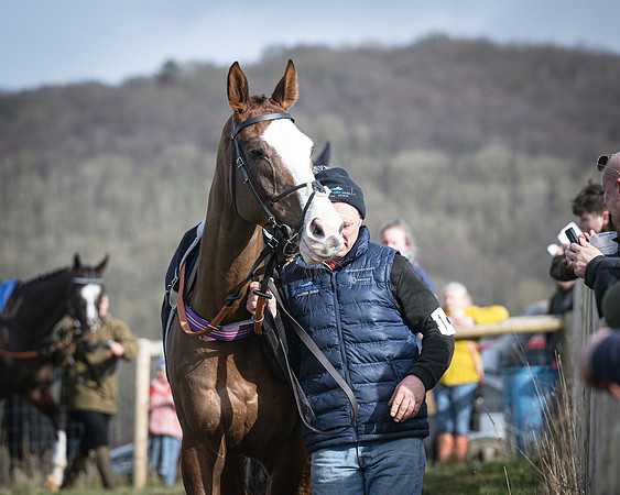 Race 3 - The Maiden Conditions (29 of 214)