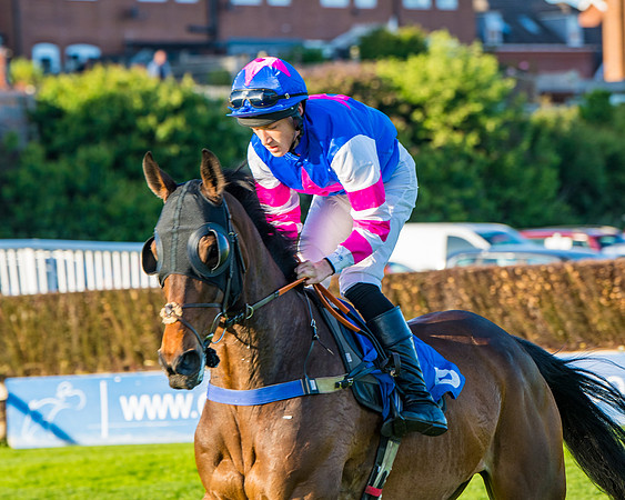Race 5 - White Swan Hotel Handicap (20 of 80)