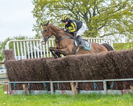 Race 2 - Jockey Club ROR veteran Horse (62 of 104)