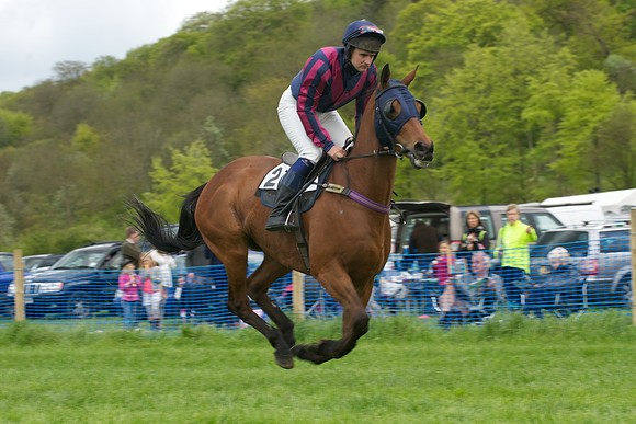 Race 4 -  8