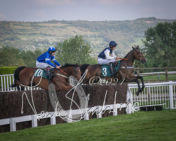 Race 2 - The Venatour sports travel intermediate point to point hunters’ steeplechase 5 year olds and over 3m2f (36 of 163)