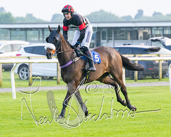 Race 5 - Peter Wright Handicap (25 of 117)