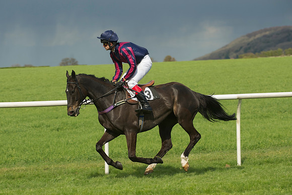 Novice Riders 20
