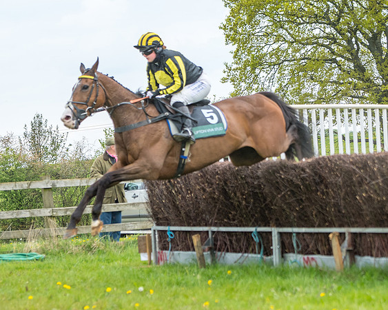 Race 2 - Jockey Club ROR veteran Horse (64 of 104)