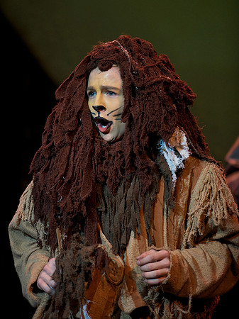 The Wizard of OZ -  251