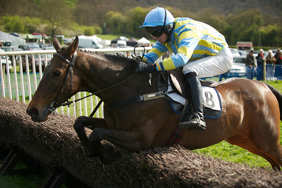 Southern Grand National  30