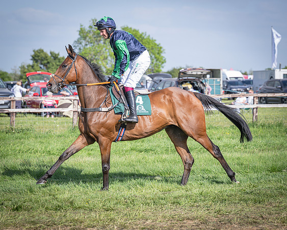 Race 6 - 2m5f Conditions (15 of 70)