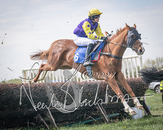 Race 2 - The Elliott of London maiden race (52 of 137)