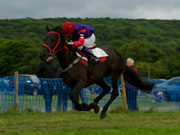 Pony Race - 12