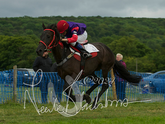 Pony Race - 12