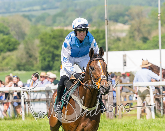 Race 2 - The Maiden  (37 of 442)