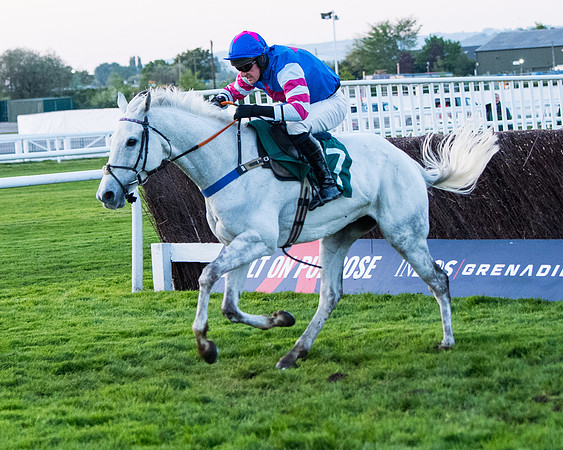 Race 7 - Glos Hussars  (139 of 245)