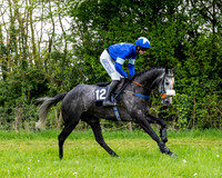Race 3 - Young Horse Maiden (17 of 216)