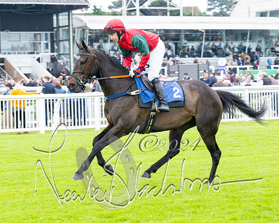 Race 3 - John Corbet Cup  (9 of 108)