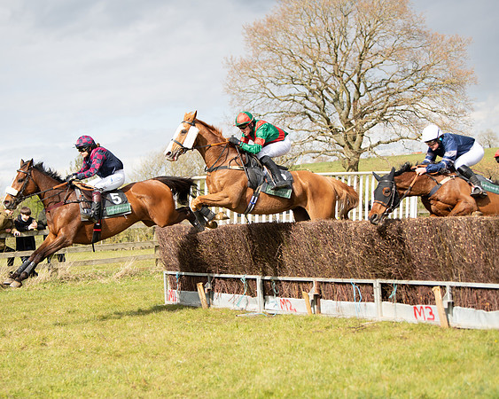 Race 3 - Owner Trainer conditions (62 of 132)