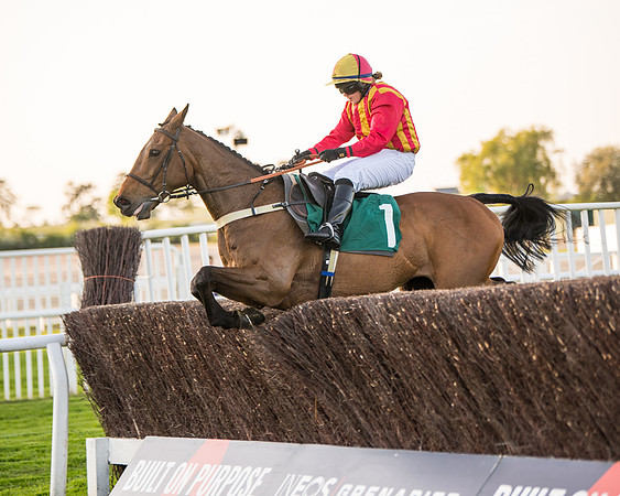 Race 5 - ITM Mares'  (79 of 181)