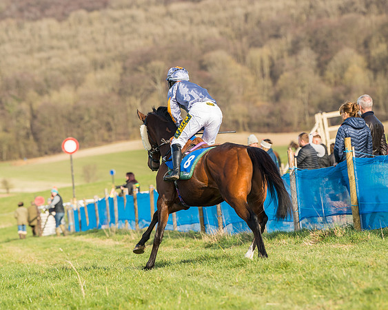 Race 5 - Restricted (5 of 146)
